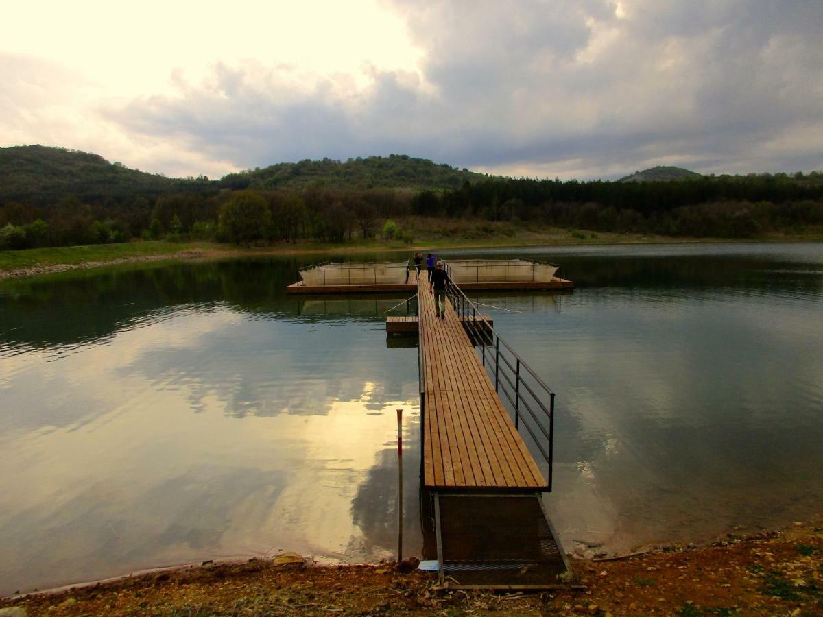 Lavender Lodge Rupkite Luaran gambar